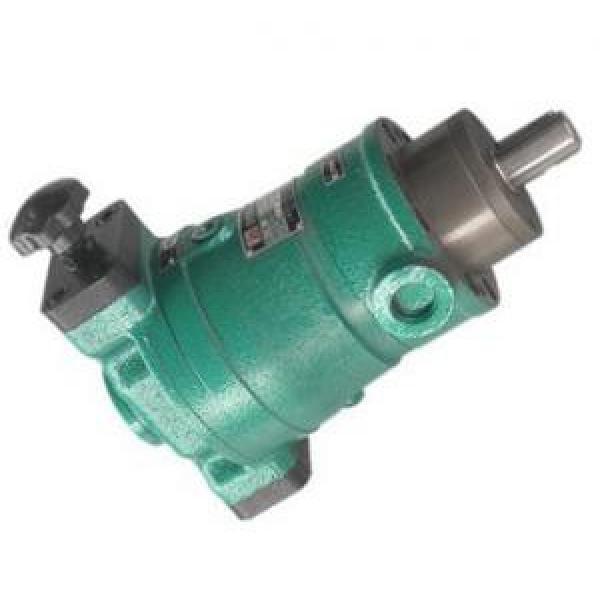Rexroth hydraulic pump bearings  F-200372 #1 image