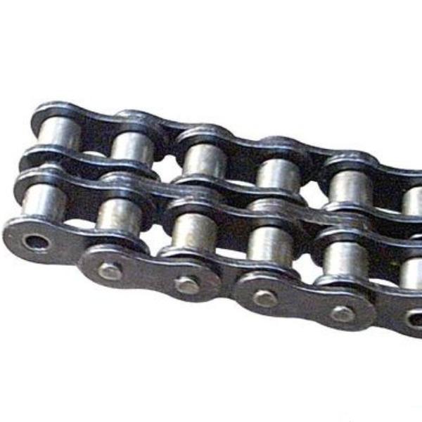 TSUBAKI AL622R100 Roller Chains #1 image